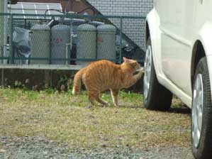 �����ā@�߂܂�����Ǝv�����񂾂���B