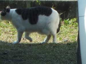 �]�v�Ȃ����b����I