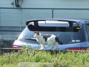 �܂��@�������ȁI