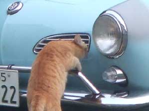 ���@���@���@�撣��`�@�T�`���I