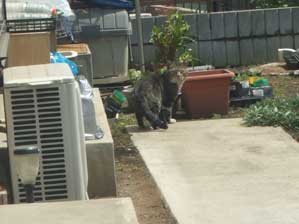 ����@�C���������ˁ`