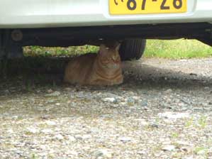 ������A������������񂾁`