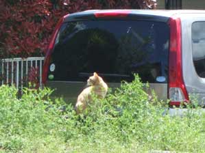 ��������I