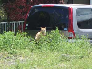 ��낵���ˁ`�I