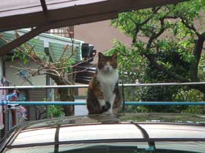 ��������ʒu�Ȃ̂��I