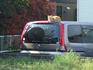 ���΁@�o���邶���I