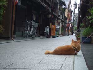 ���{�͕��a���ȁ`���Ďv���ā@�Q���ׂ��Ă����I