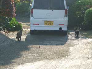 ���j�����Ă��`�@�@�E�j���邳���ȁ`�@