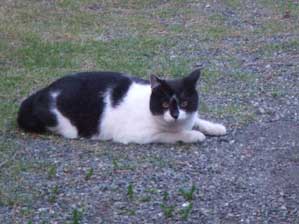 �͂��@�͂��I