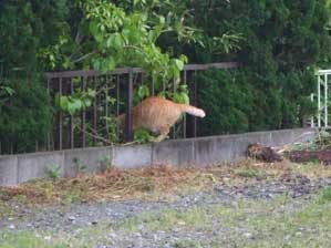 ��������`�@�t���t���I