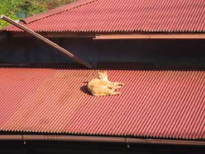 �����@�������炢����I