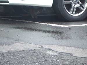 �B������Ȃ�B���Ă݂�I