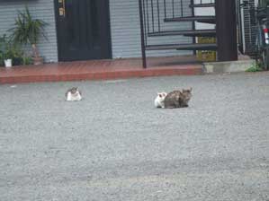 ��������`