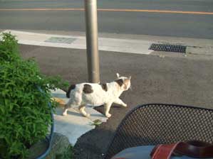 �撣��܂��I