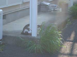 ���܂�l�̋��Ȃ��Ƃ��낪�����ȁ`