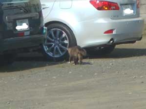 �y�����Ƃ���ł��I