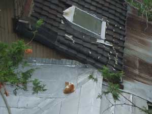 �N�����Ă�ł���ȁ`