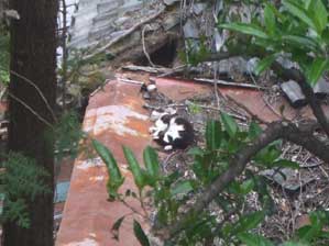 �����Ă����`�@�C�����ǂ��`