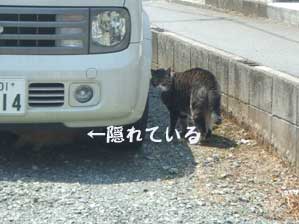 �E���j�@�ǂ��ɋ���񂾁`