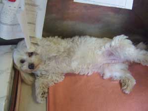 �����������ā`�`�`