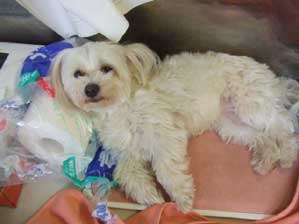 ���ւււց`�@