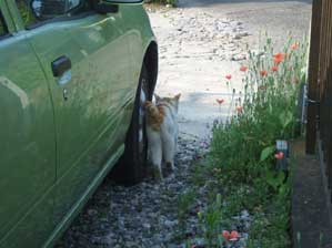 �t���@�t���@�t���I