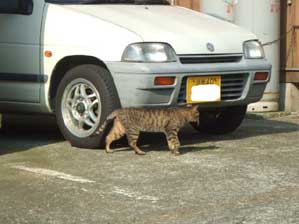 �����l���Ă��܂����`���I