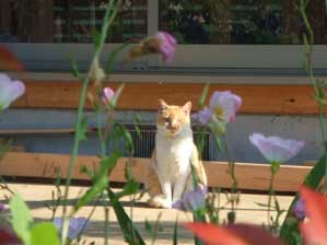 ���W���I