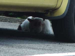 �O�`�`�`�`�`�`