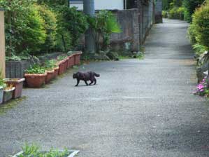 ��������I�@��������I