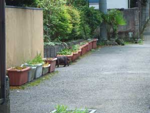 ��������I