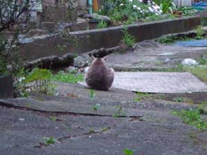 �U������Ȃ����`