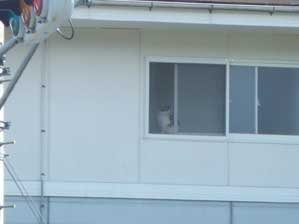 �ō�����`�`�I