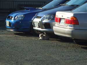 ������ῂ����ł�����I