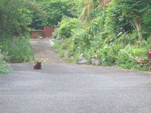 �����Ă���̂�`