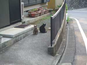 ���Ă����̂ˁB