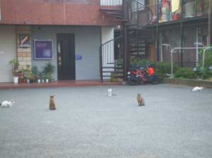 ���`�@���C���`