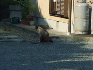 �p������������@�C���Ł`��