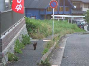 ���͂����������̂ł��I