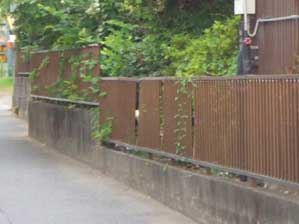 ������@����������������ȁH