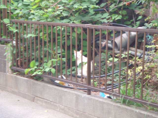 ������������@�B���Ă��炢�܂����I