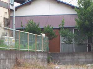 �悭�A�������ˁI�@�o�C�N�̉^�]�C�����ĂˁB