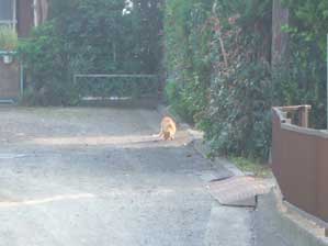 ���������Ă��Ȃ����ȁ`