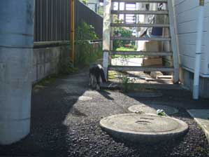 �܂�������`�@�Ȃ񂾂�`�@��`�@���`�@YO�`