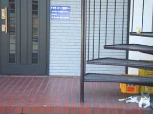 �݂�ȗ��ɏo���܂�����`