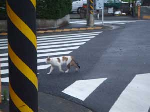 �����񂾂�I