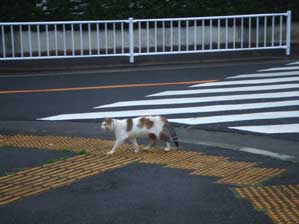 �����ɓn�ꂽ��I