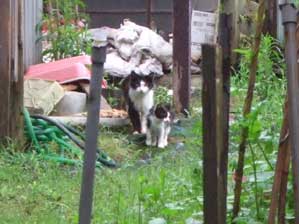 �ق�A�B���Ă������ā@�����������Ȃ����I