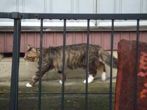 �ј\������ł���I