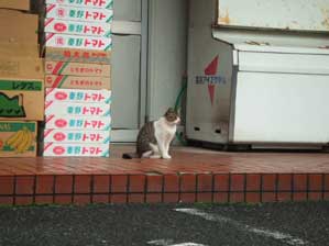 �����ƌ������Ă��Ȃ���I